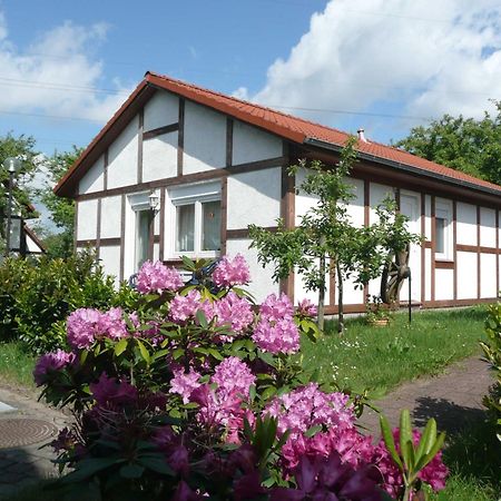 Ferienhaus Kogge Im Feriendorf Alt Bachenbrock Eksteriør billede